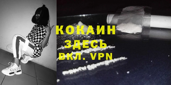 сатива Аркадак