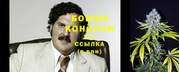 сатива Аркадак