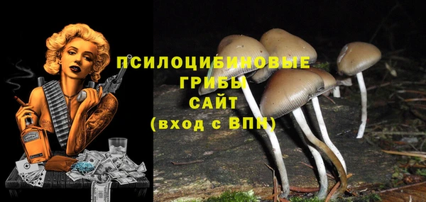 сатива Аркадак