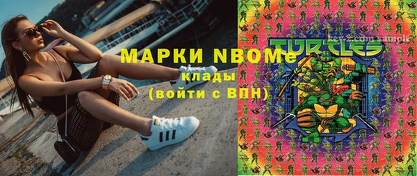 сатива Аркадак