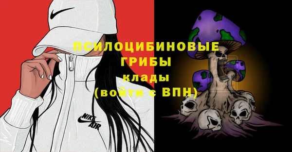 мет Арсеньев