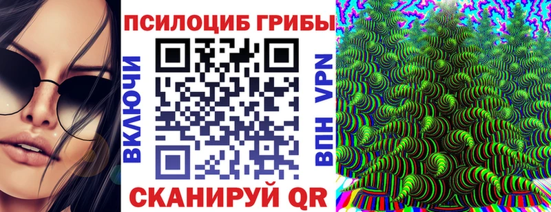 Псилоцибиновые грибы мухоморы  Бабаево 